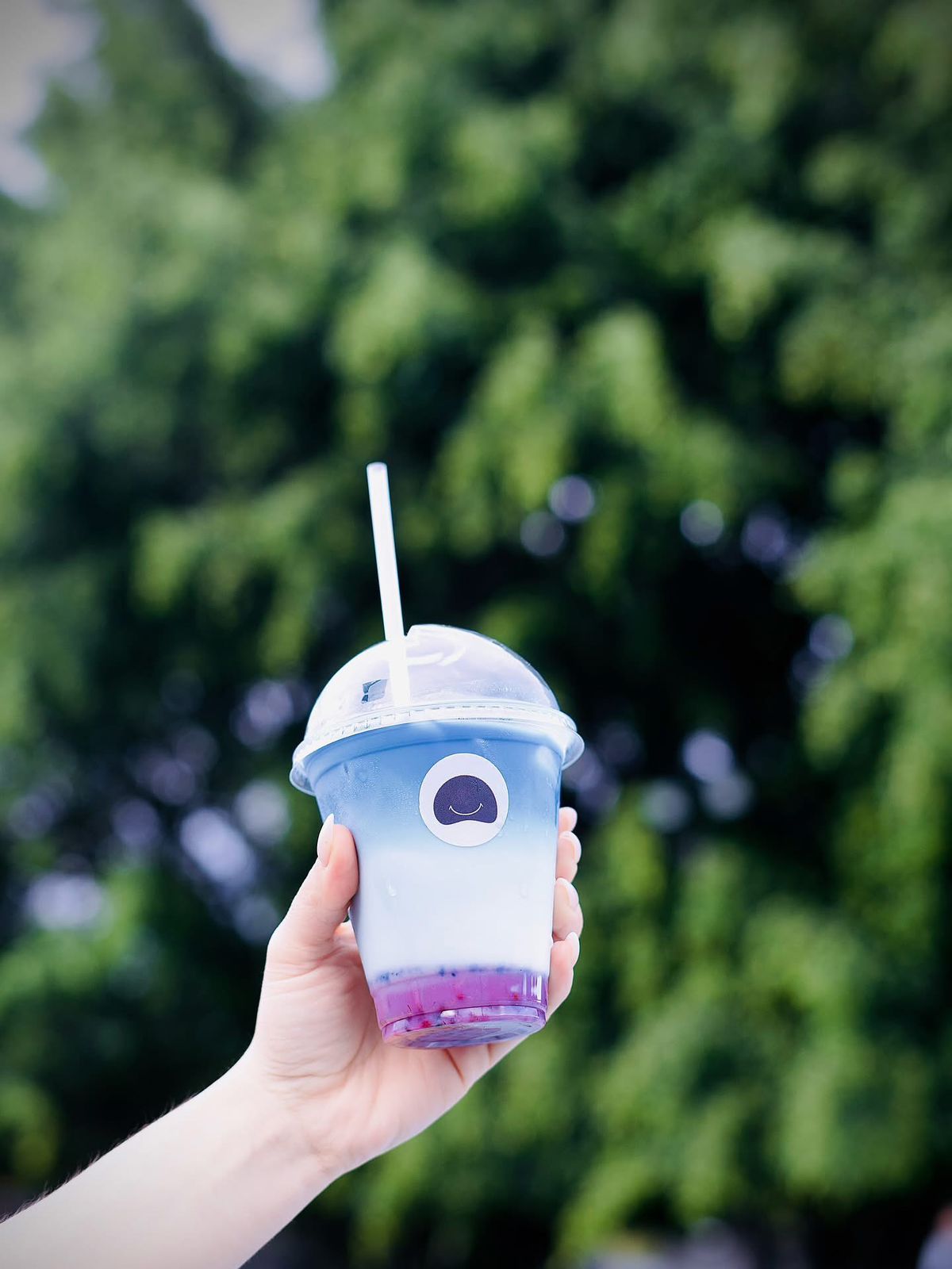 whatsapp image 2025 12 09 at 17.29.18